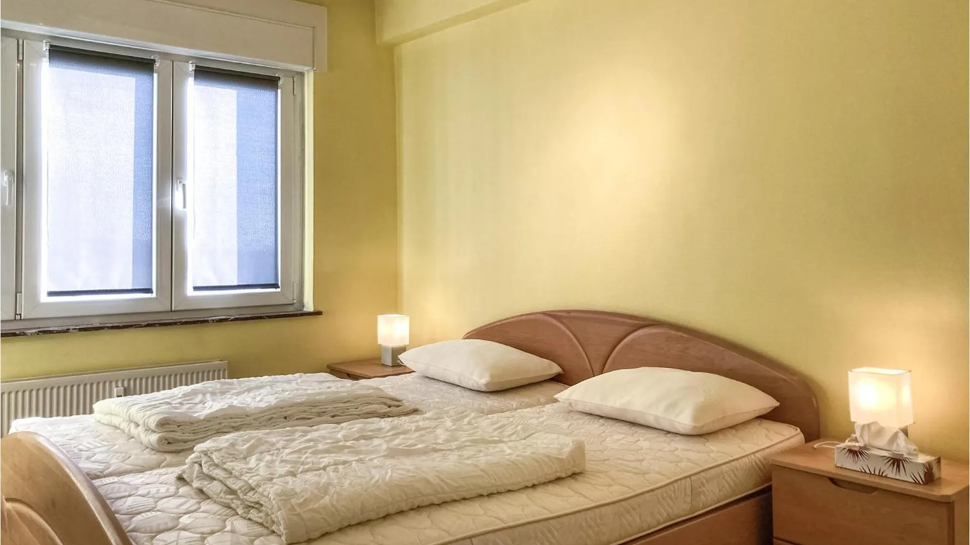 Awesome Apartment In Oostende With House Sea View Ostend